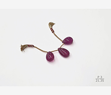 Natural Rubellite 3 pc Set