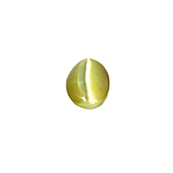 Chrysoberyl Cat's Eye 