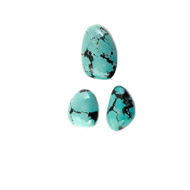 Arizonian Turquoise Stone